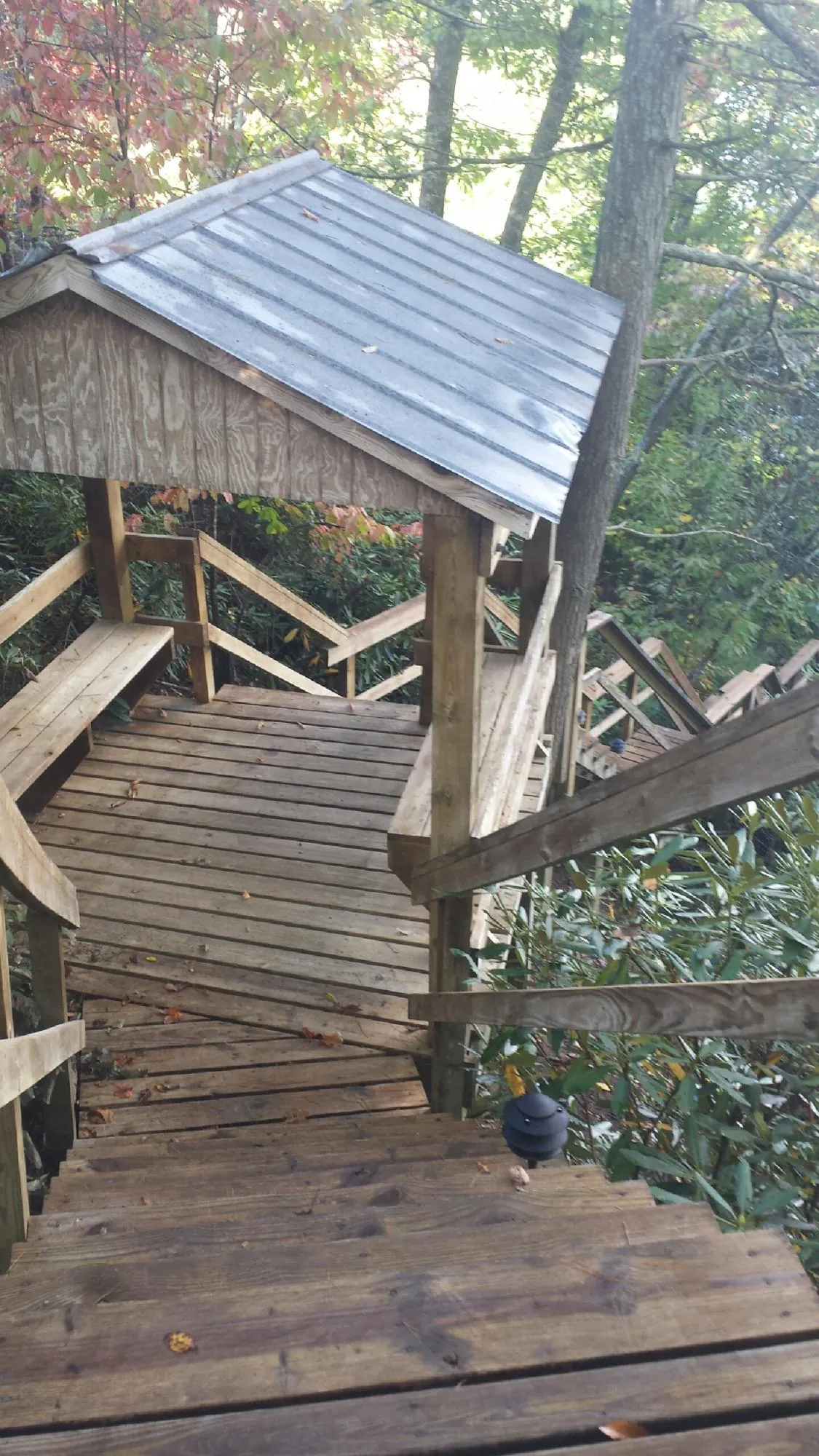 Metal roofed shelter over wooden steps on a wooded walkway — Skylight Repair & Installation work by our crew in Wesson